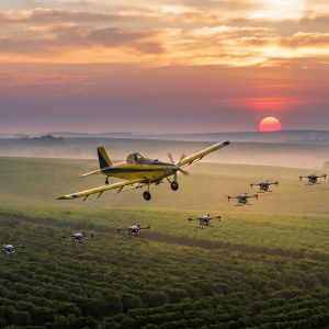 Planes_and_drones_over_plantation_2K_20260909184955