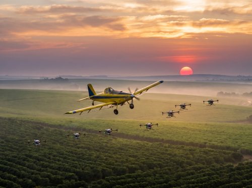 Planes_and_drones_over_plantation_2K_20260909184955