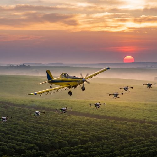 Planes_and_drones_over_plantation_2K_20260909184955