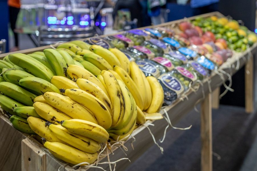 foto1-Fruit Atraction 11.jpg