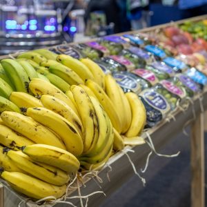 foto1-Fruit Atraction 11.jpg